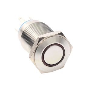 16mm Momentary LED Pushbutton Switch